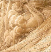 Jute Fiber